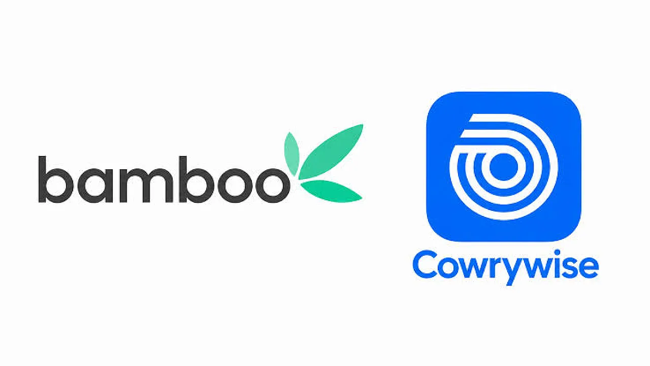 Bamboo Cuts Trading Commissions 20% After Dangote IPO App Outage