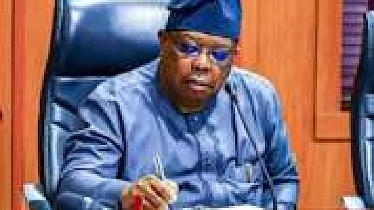 Electricity: Nigerians Asked Me to Slow Down Because Their Freezers Are Now Freezing — Power Minister