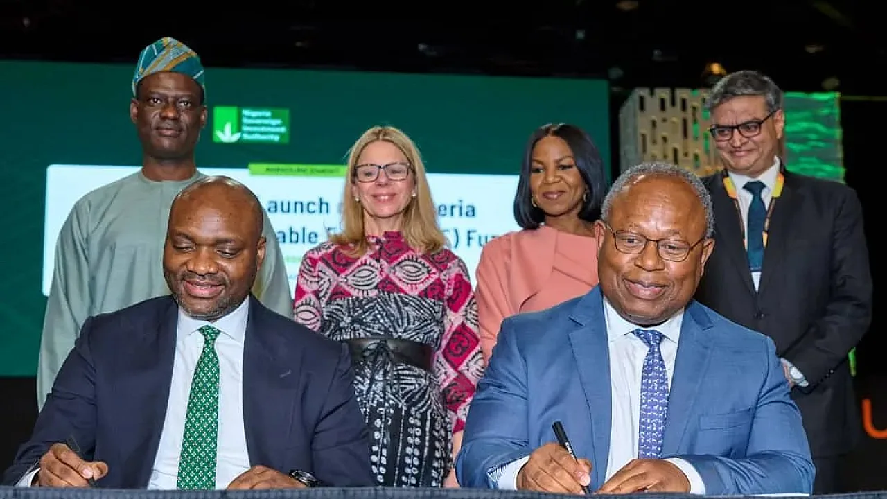 Nigeria Launches $300m Fund to Scale Off-Grid Renewable Energy