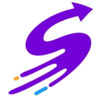 swervltd logo logo
